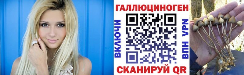 Галлюциногенные грибы Cubensis  Яхрома 
